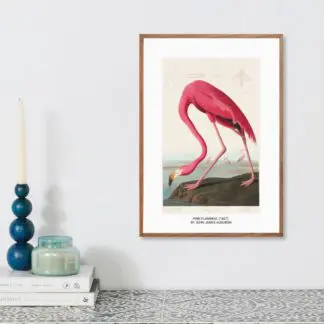 Poster Pink Flamingo from Birds of America (1827)