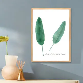 Poster Bird of paradise leaf