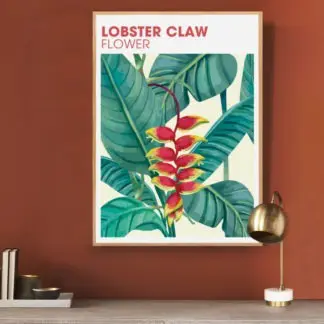 Poster Lobster Claw flower