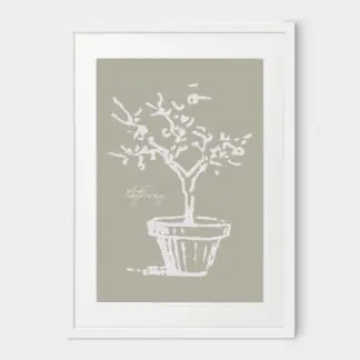 Poster Engraved Plant