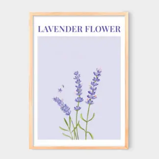 Poster Lavender Flower