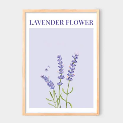 Poster Lavender Flower