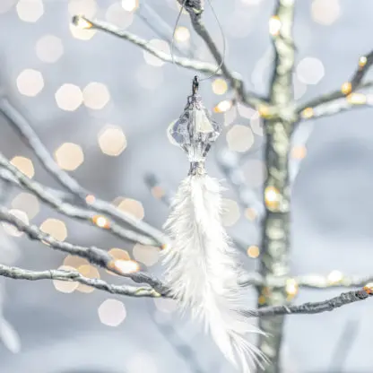 Đồ trang trí Noel - Lông Vũ