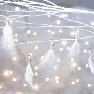 Đồ trang trí Noel - Bộ 5 Lông Vũ