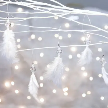 Đồ trang trí Noel - Bộ 5 Lông Vũ