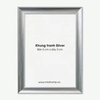 Khung tranh ảnh A4, A3, A2 Silver bản 5 cm
