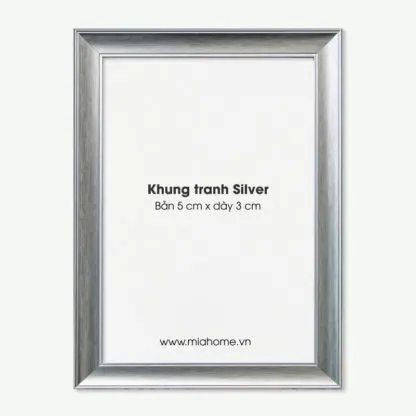 Khung tranh ảnh A4, A3, A2 Silver bản 5 cm