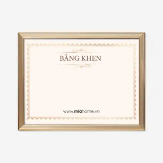 Khung bằng khen A4, A3 Light Gold KBK04