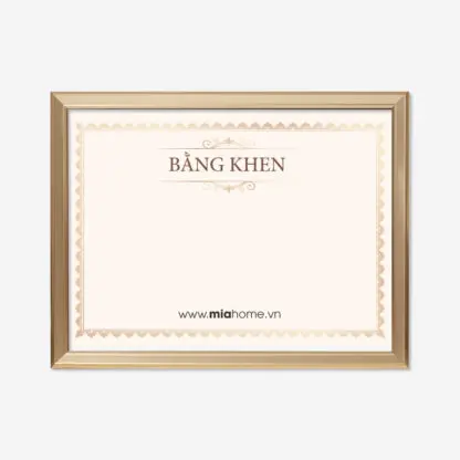 Khung bằng khen A4, A3 Light Gold KBK04