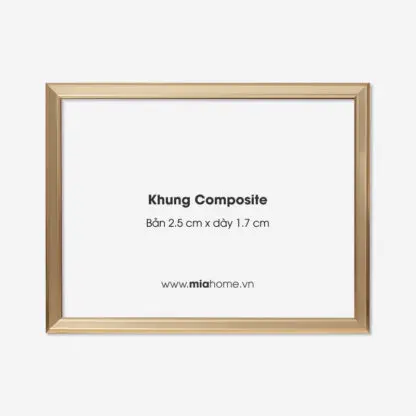 Khung Tranh A4, A3, A2 Light Gold KC04
