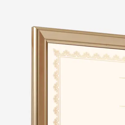 Khung bằng khen A4, A3 Light Gold KBK04 bản 2.5 cm - Hình ảnh 3