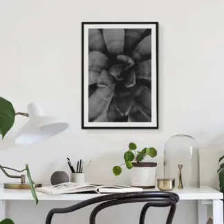 Tranh treo phòng khách hoa xương rồng đen