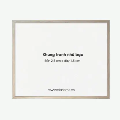 Khung Tranh A4 A3 A2 Cao Cấp Nhũ Bạc KC12