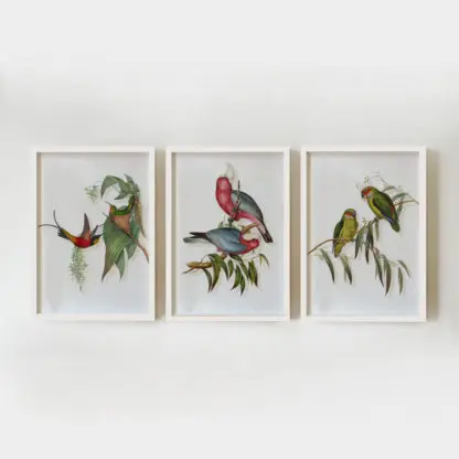 Bộ 3 tranh đôi chim khung trắng