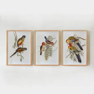 Bộ 3 tranh đôi chim nhỏ