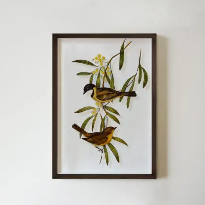CHIM 6 tranh đôi chim nhỏ