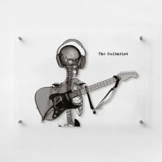 The guitarist tranh kính 3d