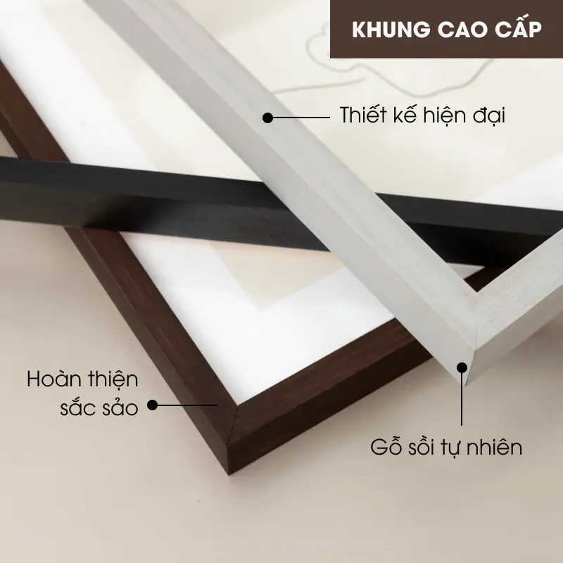 Khung cao cấp thiết kế hiện đại