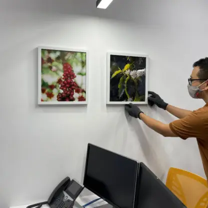 in ảnh, in tranh trên giấy mờ, giấy bóng