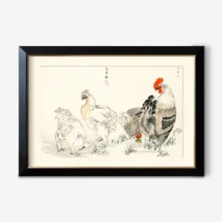 Domestic Fowl illustration from Pictorial Monograph of Birds (1885) by Numata Kashu (1838-1901)-id-434963-jpeg 1