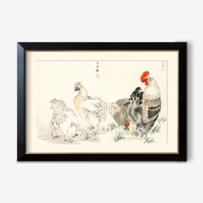 Domestic Fowl illustration from Pictorial Monograph of Birds (1885) by Numata Kashu (1838-1901)-id-434963-jpeg 1