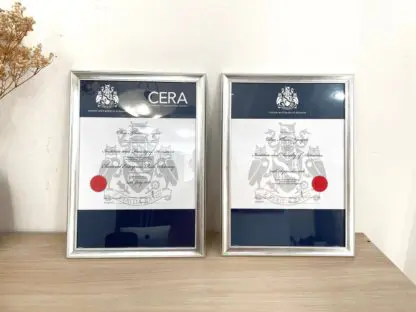khung bằng khen bạc 2