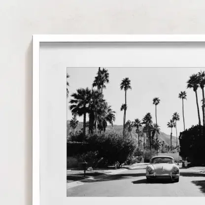Driving between palm trees - Ảnh nghệ thuật hiện đại trắng đen - Hình ảnh 3