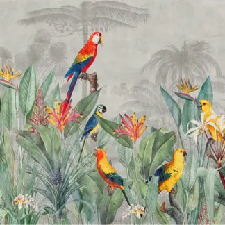 Tropical giấy dán tường chim két