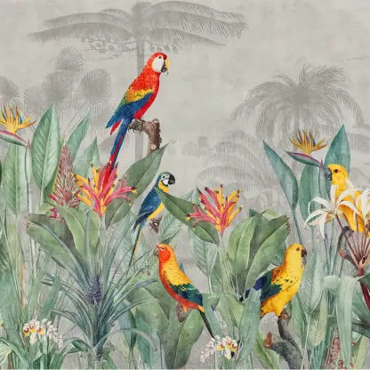 Tropical giấy dán tường chim két