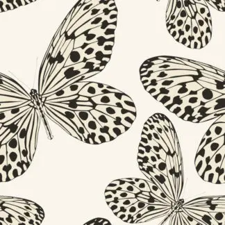 butterfly - giấy dán tường phòng bé 1