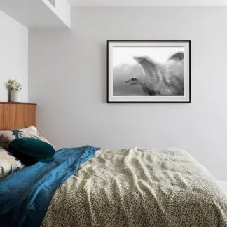 Tranh sếu cao cấp Giclée Print | Limited Edition