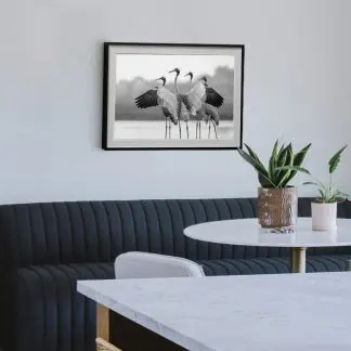 Tranh sếu đẹp Giclée Print | Limited Edition