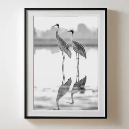 Tranh sếu phòng khách Giclée Print | Limited Edition - Hình ảnh 2