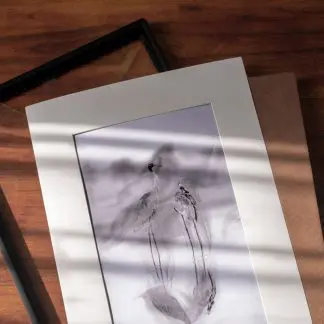 Tranh sếu |  Giclée Print | Limited Edition