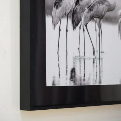 Tranh treo tường đàn sếu hoang dã Giclée Print | Limited Edition - Hình ảnh 4