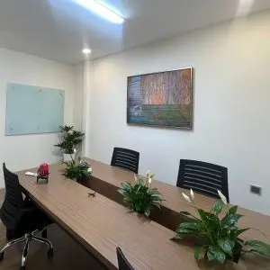 tranh canvas 19