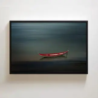 wp 1
