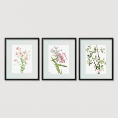 Bộ 3 tranh khung kính treo tường Jasmine Flower