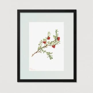 Bộ 3 tranh khung kính Ribes nigrum