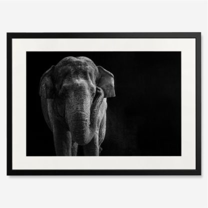 tranh-khung-kinh-treo-tuong-Asian-Elephant
