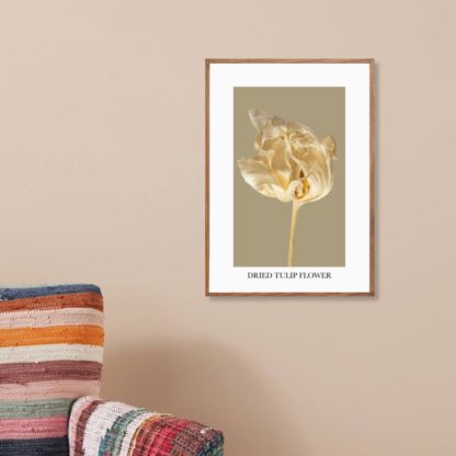 Poster-Dried-tulip-flower-3