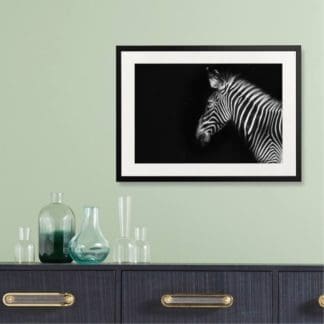tranh-khung-kinh-treo-tuong-Grevy's-Zebra