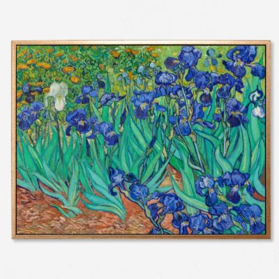 Irises 1889 - Tranh canvas treo tường danh hoạ