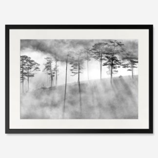 tranh-khung-kinh-treo-tuong-thuyen-Pine-Hill-Black-and-White