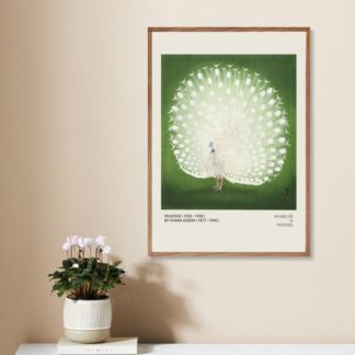 Poster-Peacock