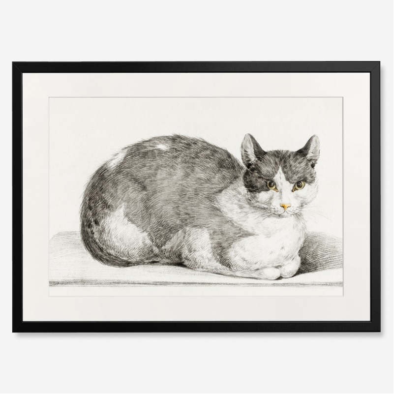 Tranh vẽ con mèo - Tranh khung kính treo tường B&W 