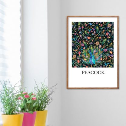 Poster Peacock 2