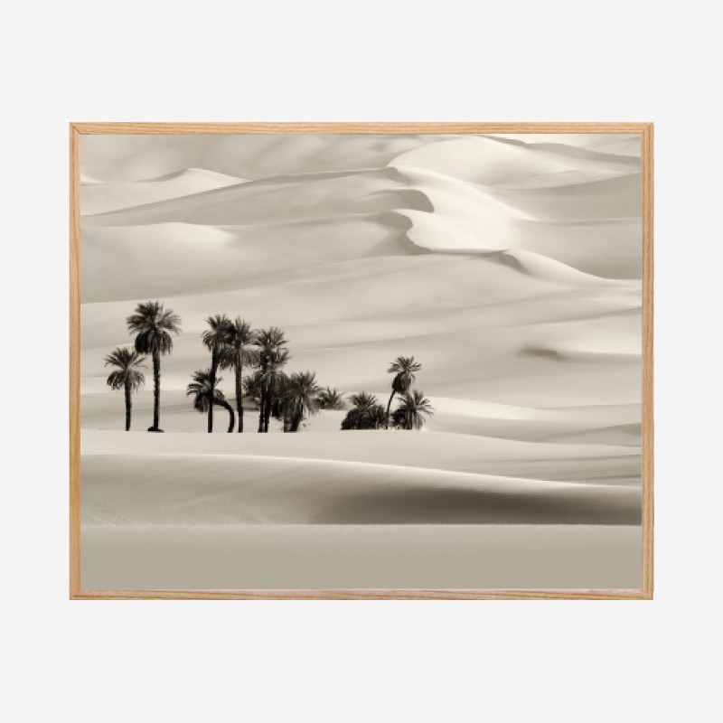 Desert - Tranh khung kính gỗ sồi treo tường 40x50 cm
