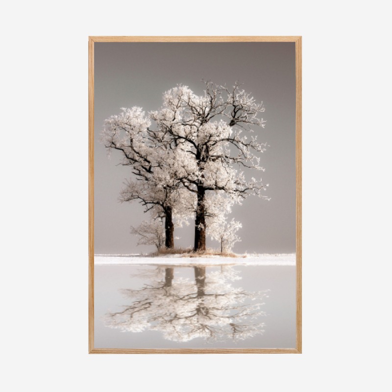 Reflection - Tranh khung kính gỗ sồi treo tường 40x60 cm