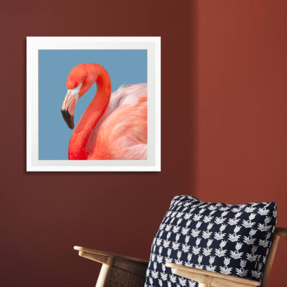 Poster Red Flamingo 30x30 cm